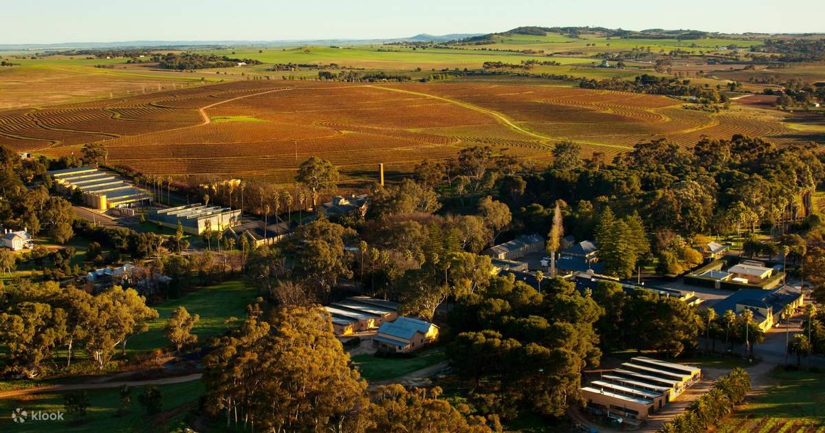 barossa tour from adelaide